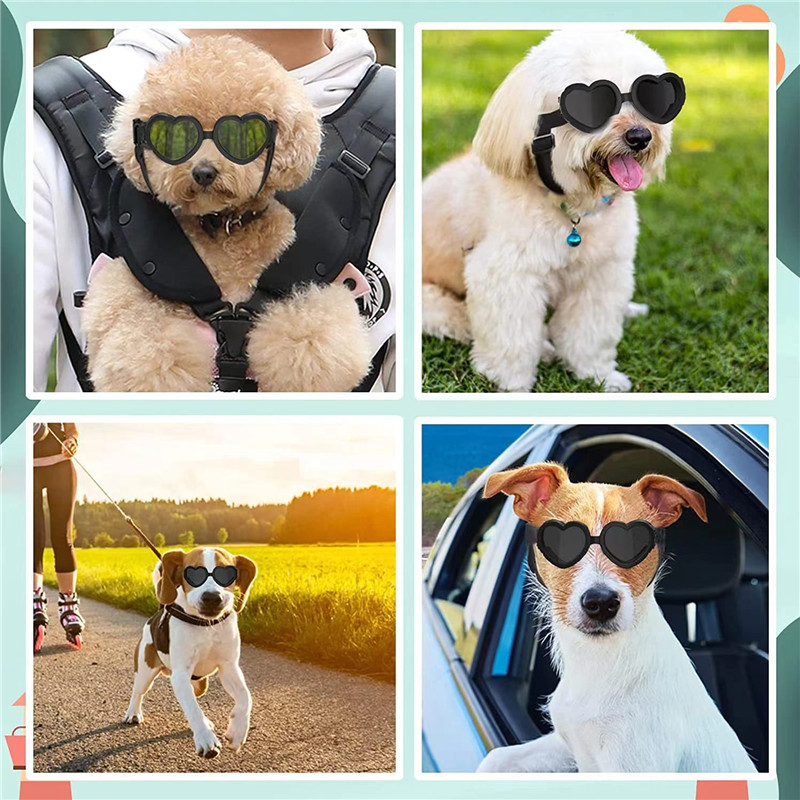 แว่นกันแดดรูปหัวใจสำหรับสุนัขข - Sunglass Retainer Cord บทวิจารณ์และราคา